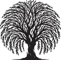 a black and white willow tree silhouette vector