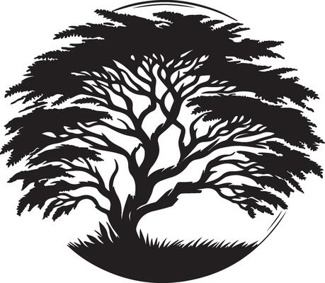 The clean black and white silhouette of a tree
