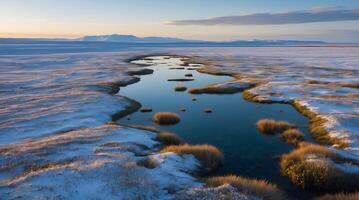 Exploration of fragile ecosystems in Tundra under shifting weather patterns photo