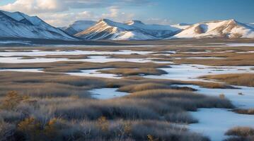 Fragile ecosystem of Tundra facing climate change challenges photo