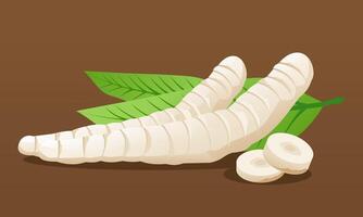 organic arrowroot rhizomes isolated on brown background vector