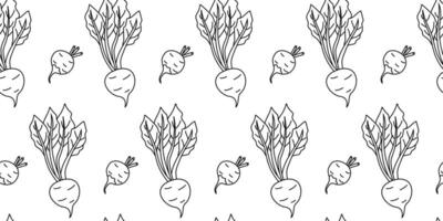 Colorful pattern of beets with leaves in a playful design for a kitchen or garden vector
