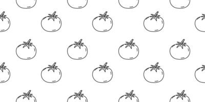 Fresh tomatoes pattern on a white background for a culinary design theme vector