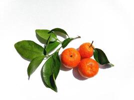 honey coconut oranges on a white background photo