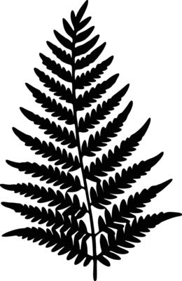 Black fern silhouette isolated on white background botanical illustration nature frond