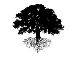 Black Trees and root with leaves. vector