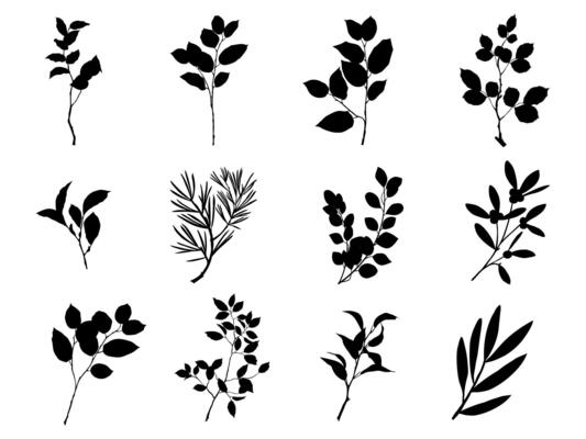 design elements collection of plant green forest, green art leaves natural herb in silhouette.