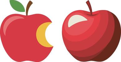 Illustration of Apple Set, High Quality Fruit Graphics Isolated on White Background vector