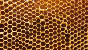 Honeycomb structure showcasing hexagonal cells filled with fresh golden honey. Ideal for illustrating nature's organization and the intricate design of beekeeping. Background for natural photo
