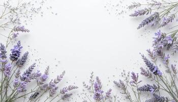 Lavender flowers creating a delicate border on a white background. The image highlights fresh lavender sprigs with scattered petals, offering a serene and calm visual. photo