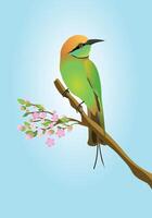 An illustration of a green bee eater. The bird is perched on a branch with some pink blossom. vector
