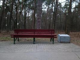 An empty wooden bench in a tranquil forest setting, inviting relaxation and solitude. Ideal for outdoor, leisure, and nature themes. photo