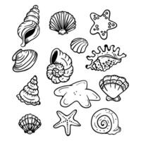coloring pages for kids with shells and starfish vector
