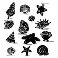 icon set of shells and starfish vector