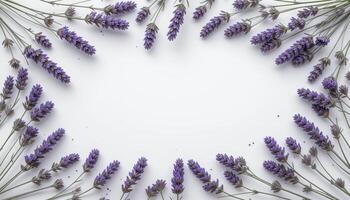 Lavender flowers are creatively arranged around the edges of a white background, creating a natural border. The composition is simple and elegant, highlighting the beauty of lavender. photo