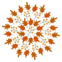 Autumn leaves and twigs Circular Frame border Thanksgiving Day Greeting Background Texture concept. Isolated illustration Thematic Invitations cards, leaflet, price, label or web promo banner vector