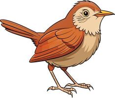 A cartoon bird with long legs and a long tail vector