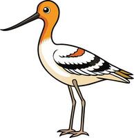A cartoon bird with a long beak and white and orange feathers vector