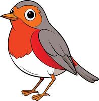 A cartoon robin with a red and gray body vector