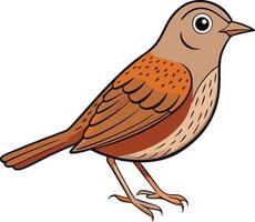 A cartoon bird with brown feathers and a white background vector