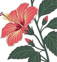 A flower with leaves and a pink flower vector