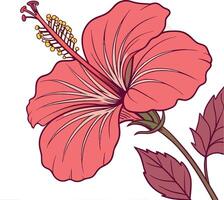 A flower with leaves and petals vector