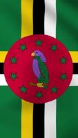 Vertical, portrait, waving national flag of Dominica. Smooth animation with highly detailed, realistic animated background for social media, screens smartphone. Official colors, cloth motion video