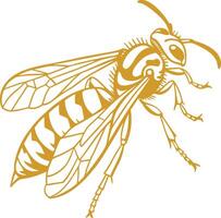 A bee with a yellow and black outline vector