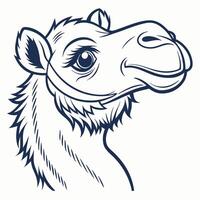 Head of camel with bridle on isolated background vector
