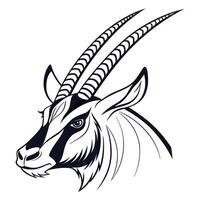 An antelope head with horns on a white background vector