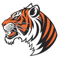 The head of a tiger is shown on a white background vector