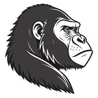illustration of gorilla head vector