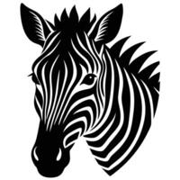 Zebra Head New vector