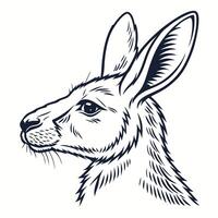 A black and white drawing of a kangaroo vector