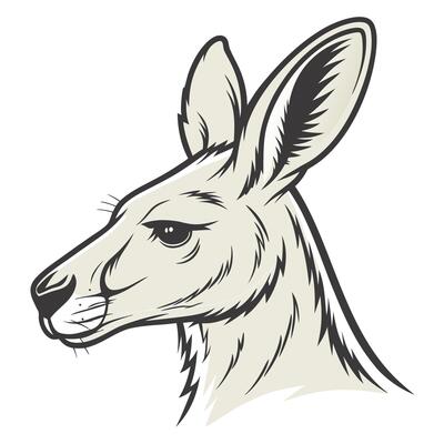 A kangaroo head with long ears and a long tail