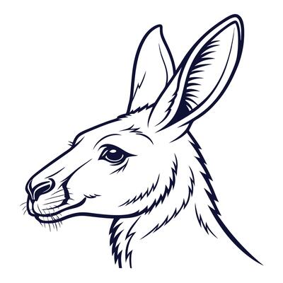 A kangaroo head on a white background