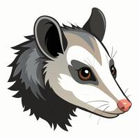 An opossum head on a white background vector