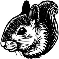 Squirrel head illustration vector