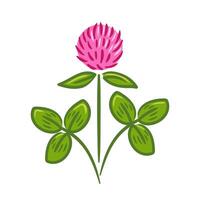 A vibrant and playful illustration of red clover in a sketch, showcasing its delicate leaves and natural curves. The design captures the essence of luck and nature with a whimsical touch. vector