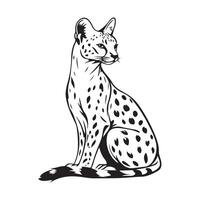 Serval animal Image isolated on white background vector