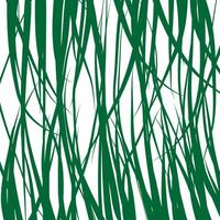 Geen grass on white background. vector