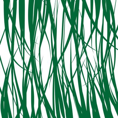 Geen grass on white background.