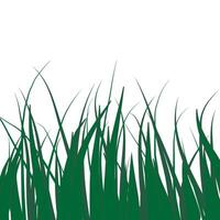 Geen grass on white background.pattern. vector