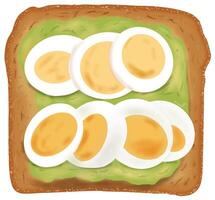 Avocado toast with boiled egg topping vector