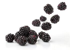 Multiple Blackberries in Motion Isolated on White photo