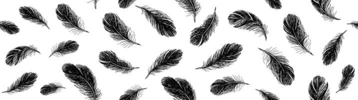 Black Feathers pattern on white background, Hand drawn sketch style. vector