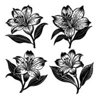 Black and White Floral Pattern Design with Ornate Elements and Vintage Style, set of black and white flowers vector