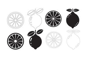 Citrus Fruit Icons in Black and White Variations vector
