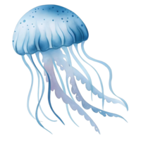 Illustration of a blue jellyfish with long tentacles floating on a transparent background space ocean life png