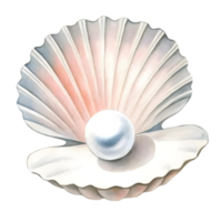 uma fechar acima do a ostra Concha com uma pérola dentro contra uma transparente fundo dentro uma digital pintura png